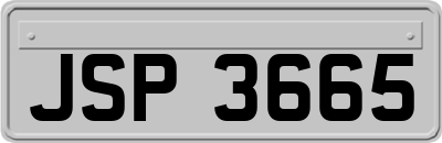JSP3665