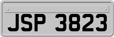 JSP3823