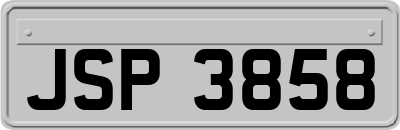 JSP3858
