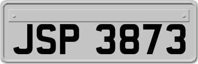 JSP3873