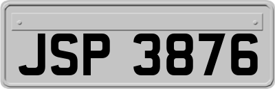 JSP3876