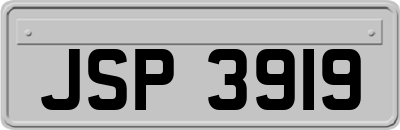 JSP3919