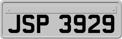 JSP3929