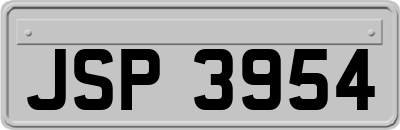 JSP3954