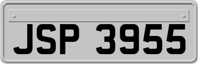 JSP3955