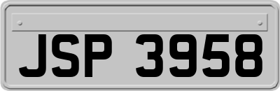 JSP3958