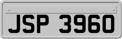 JSP3960