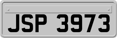 JSP3973