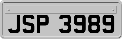 JSP3989