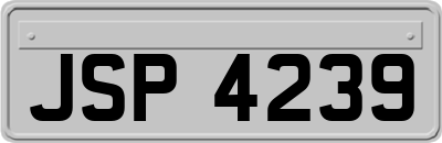JSP4239