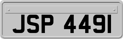 JSP4491
