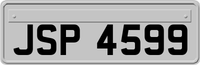 JSP4599