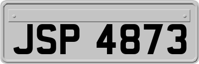 JSP4873