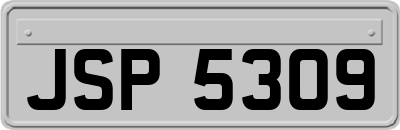 JSP5309