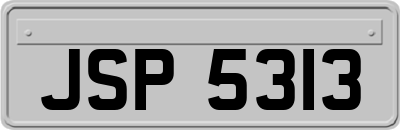 JSP5313