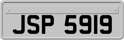 JSP5919