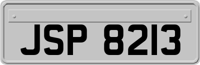 JSP8213