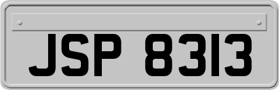 JSP8313