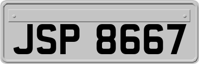 JSP8667