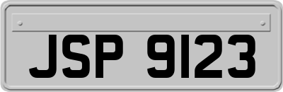 JSP9123
