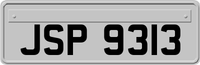 JSP9313