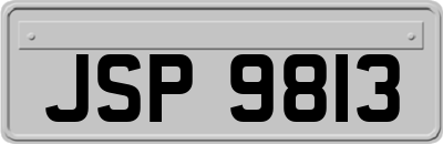 JSP9813