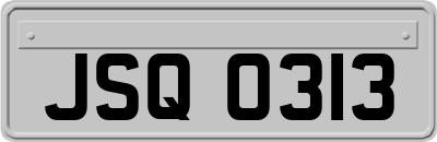 JSQ0313