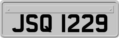 JSQ1229