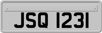 JSQ1231