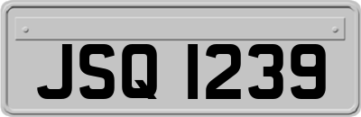 JSQ1239