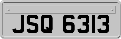 JSQ6313