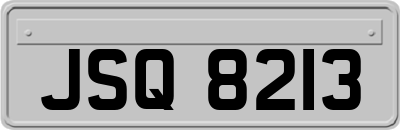 JSQ8213