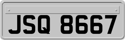 JSQ8667