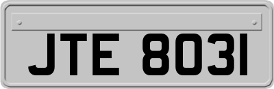 JTE8031