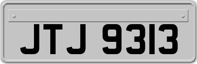 JTJ9313