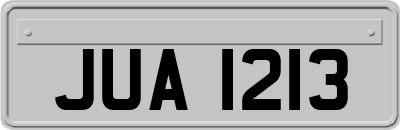 JUA1213