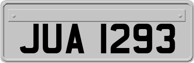 JUA1293
