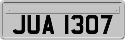 JUA1307