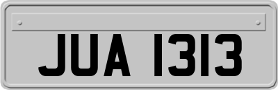 JUA1313