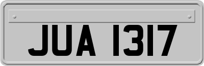 JUA1317