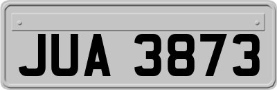 JUA3873