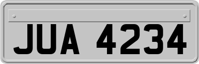 JUA4234
