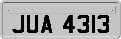 JUA4313