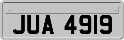 JUA4919