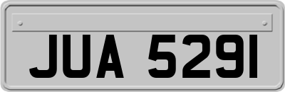 JUA5291