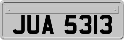 JUA5313