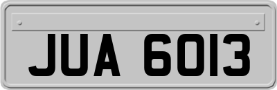 JUA6013