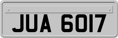 JUA6017