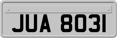 JUA8031