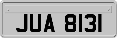 JUA8131